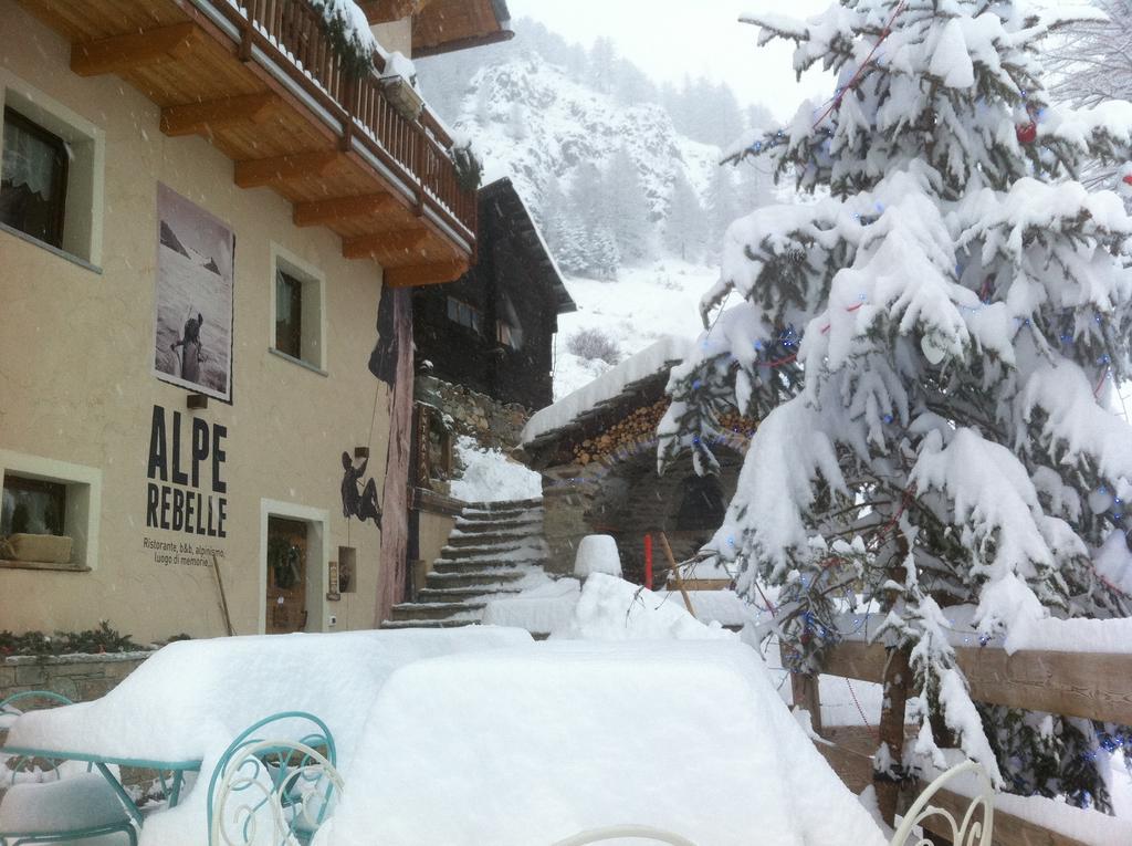 Alpe Rebelle Acomodação com café da manhã Bionaz Exterior foto
